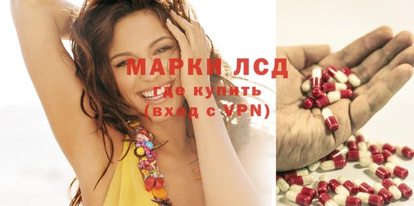 прущие грибы Алексеевка