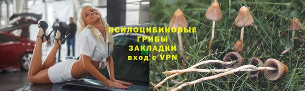 прущие грибы Алексеевка