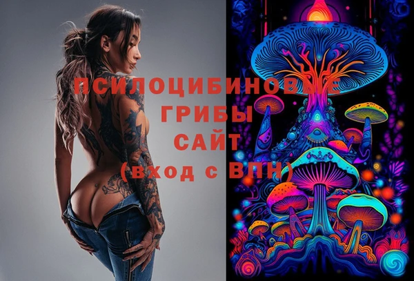 герыч Алзамай