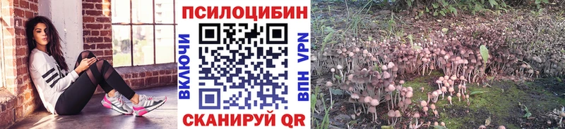 Псилоцибиновые грибы Psilocybine cubensis  Отрадная 